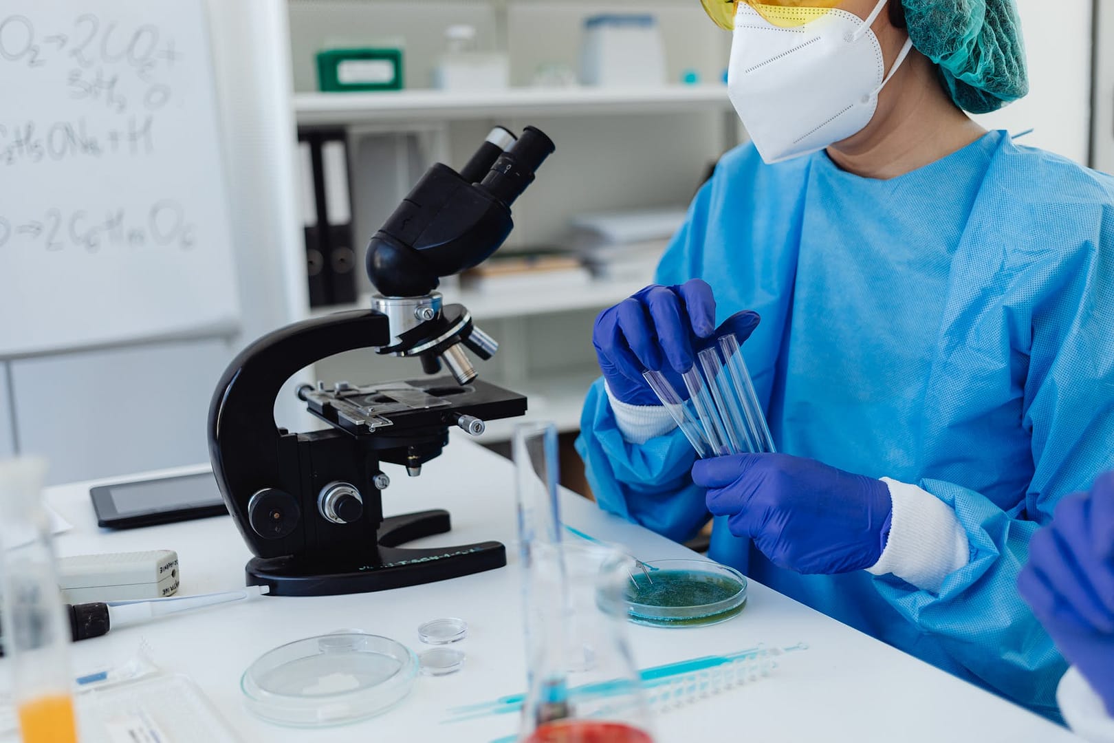 person holding test tubes