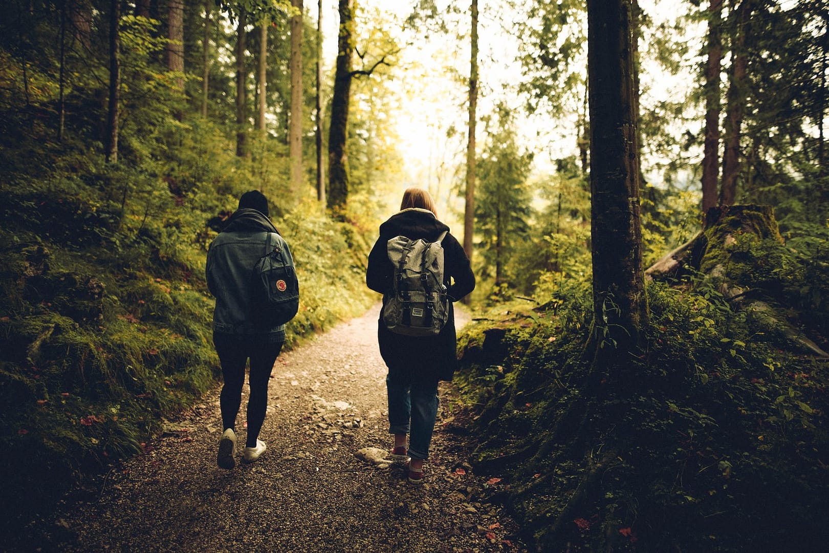 two people walking in the forest